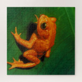 PUZZLE GOLDEN TOAD (Horizontal)