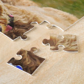 Puzzle Goldendoodle avec balle (Côté)