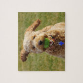 Puzzle Goldendoodle avec balle (Vertical)