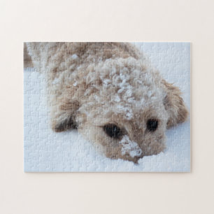 Puzzle Goldendoodle Avec Le Nez Dans La Neige