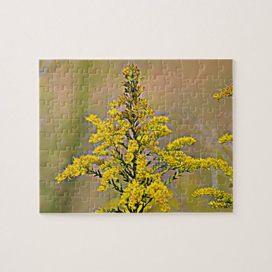 Puzzle Goldenrod du Nebraska (Horizontal)