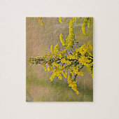 Puzzle Goldenrod du Nebraska (Vertical)