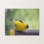 Puzzle Goldfinch (Horizontal)
