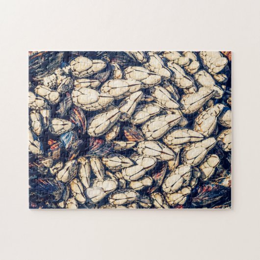 Puzzle Gooseneck barnacles & moules, C.-B. Westcoast (Horizontal)