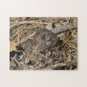 Puzzle Gopher de poche (Horizontal)
