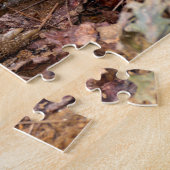 Puzzle Gopher Turtle (Côté)