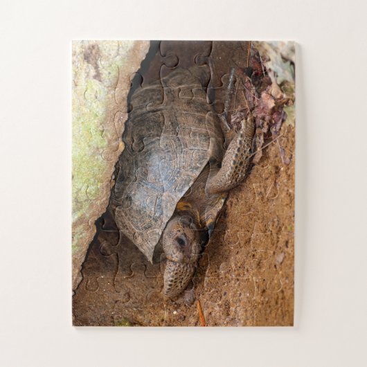 Puzzle Gopher Turtle (Vertical)