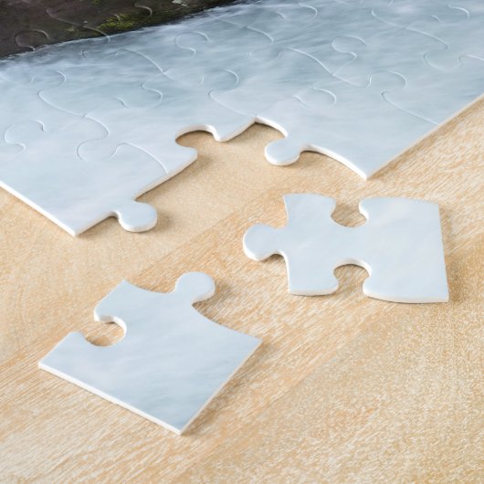 Puzzle Gorge d'avalanche I au parc national Glacier (Côté)