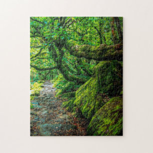 Puzzle Gorge Padley, Debryshire