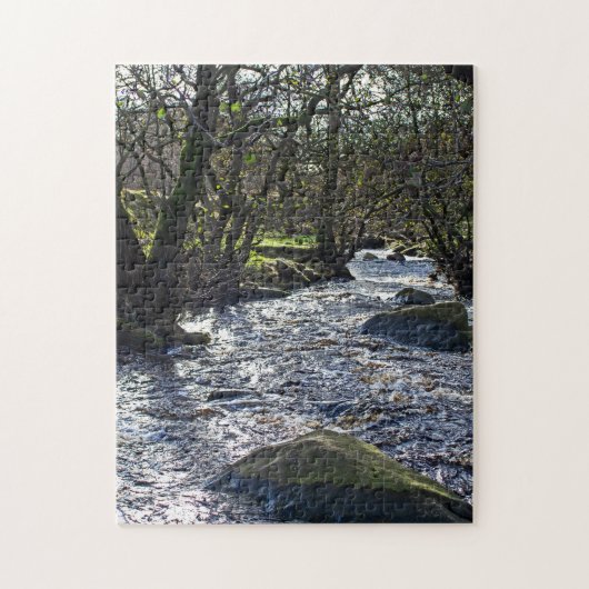 Puzzle Gorge Padley, district de Peak (Vertical)
