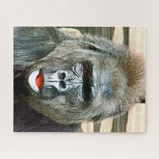 PUZZLE GORILLA FRAÎCHE (Horizontal)