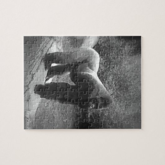 Puzzle Gorilla Silveback (Horizontal)