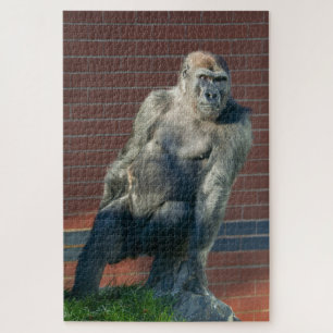 Puzzle Gorille Assis Sur Un Rocher