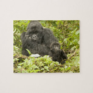 Puzzle Gorille des montagnes, Gorilla beringei (anciennem