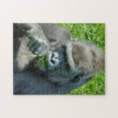 PUZZLE GORILLES (Horizontal)