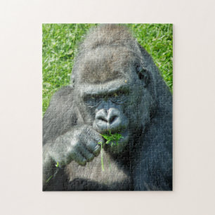 PUZZLE GORILLES