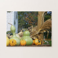 Gourds Corn Stalks Farm Stand Automne