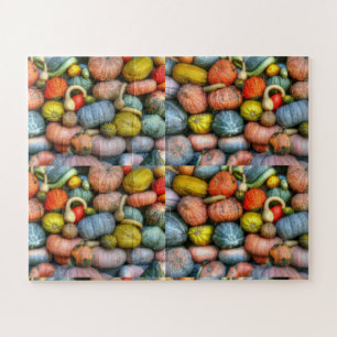 Puzzle Gourds et Citrouille Photographie Photographie Mot