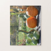 Puzzle Gourds Géants Peinture Citrouille Photo (Vertical)