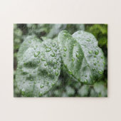 Puzzle Gouttes de pluie sur feuilles vert foncé (Horizontal)