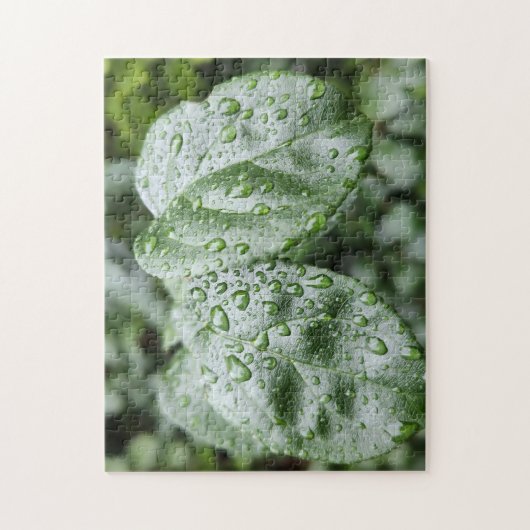 Puzzle Gouttes de pluie sur feuilles vert foncé (Vertical)