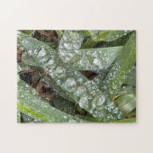 Puzzle Gouttes d'eau sur l'herbe (Horizontal)
