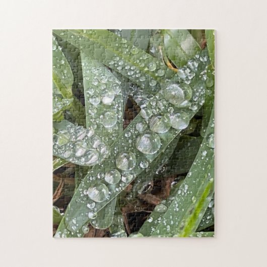Puzzle Gouttes d'eau sur l'herbe (Vertical)