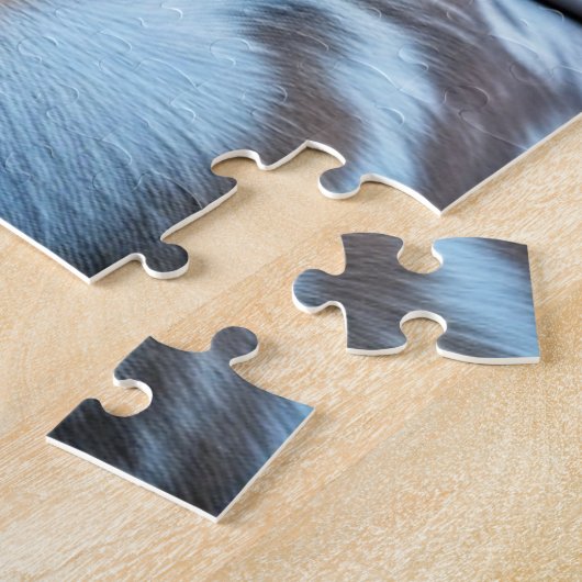 Puzzle Graffiti Street Art Pitbull (Côté)