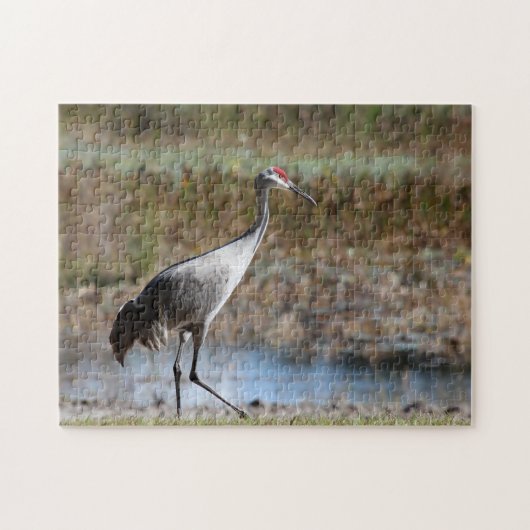 Puzzle Graine de Sandhill (Horizontal)