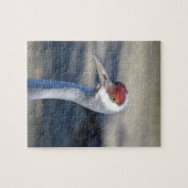 Puzzle Graine de Sandhill (Horizontal)