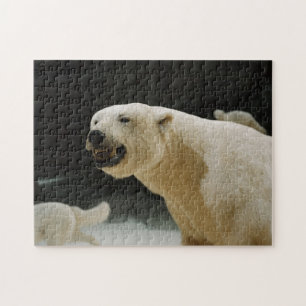 Puzzle Graine d'ours polaire