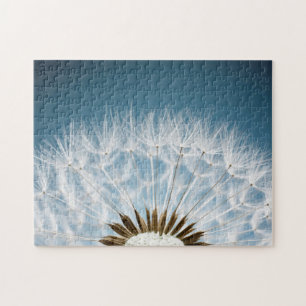 Puzzle Graines de pissenlit