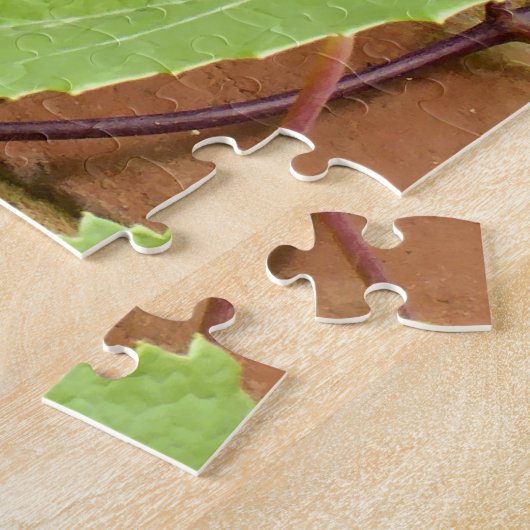 PUZZLE GRAISSES NOIRES (Côté)