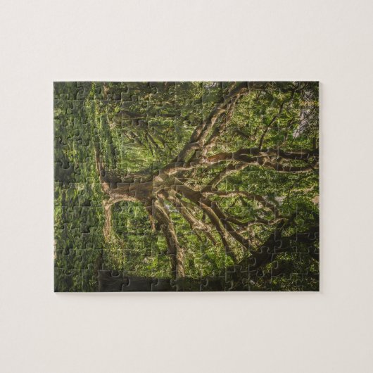 Puzzle Grand Ancien Arbre de la Forêt (Horizontal)