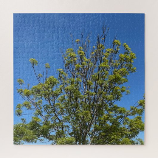 Puzzle Grand Ash Tree Dans La Belle Photo Ciel Bleu (Vertical)