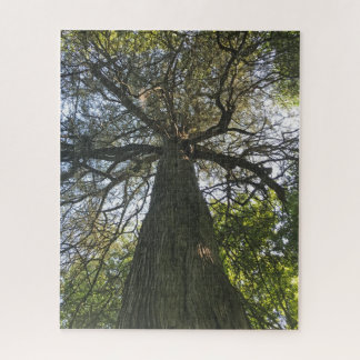 Puzzle Grand Beau Arbre