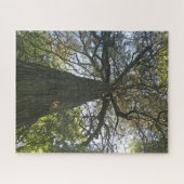 Puzzle Grand Beau Arbre (Horizontal)