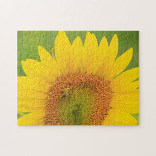 Puzzle Grand champ de tournesols près de Moses Lake, WA 1