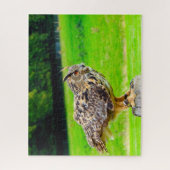 Puzzle Grand-duc - Oiseau de proie. (Vertical)