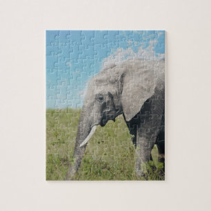 Puzzle Grand éléphant gris exotique marchant