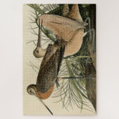 Puzzle Grand Godwit marbré - Les oiseaux d'Amérique d'Aud (Vertical)