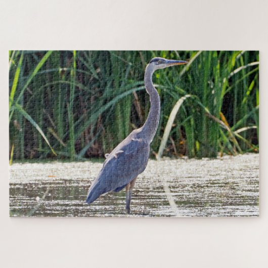 Puzzle Grand héron bleu (Horizontal)