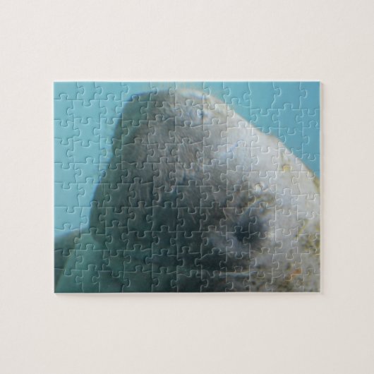 Puzzle Grand lamantin sous-marin (Horizontal)