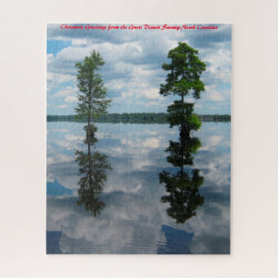 Puzzle Grand marais désolé de Caroline.Noël vous souhaite