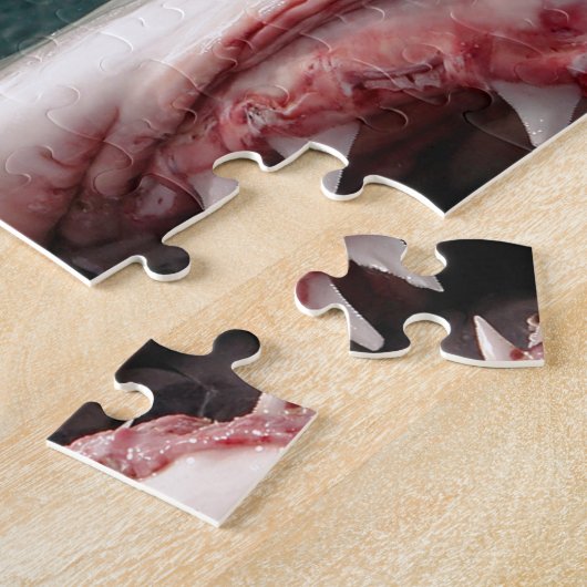 Puzzle Grand requin blanc (Côté)