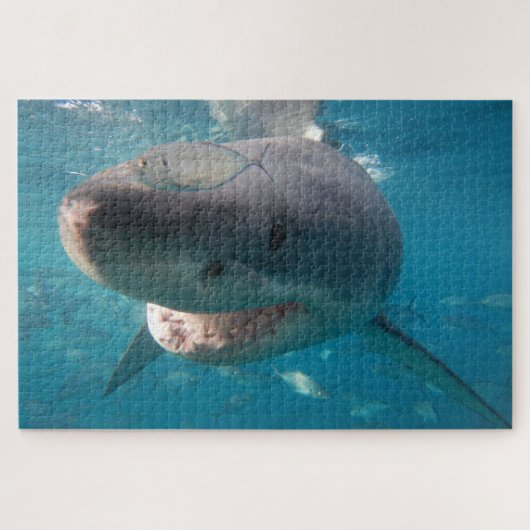 Puzzle Grand requin blanc, 1014 pièces (Horizontal)