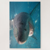 Puzzle Grand requin blanc, 1014 pièces (Vertical)