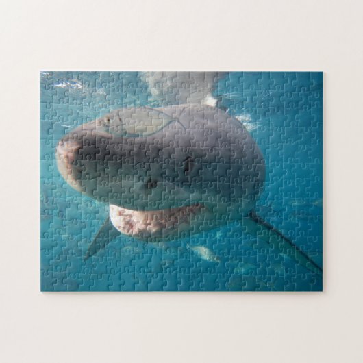 Puzzle Grand requin blanc, 252 pièces (Horizontal)