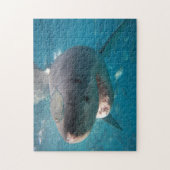 Puzzle Grand requin blanc, 252 pièces (Vertical)