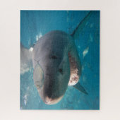 Puzzle Grand requin blanc, 520 pièces (Vertical)